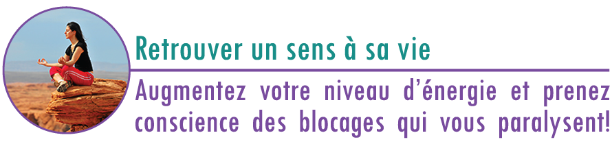 forfait-vie1